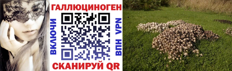 Купить закладки  Гурьевск  Галлюциногенные грибы Cubensis 